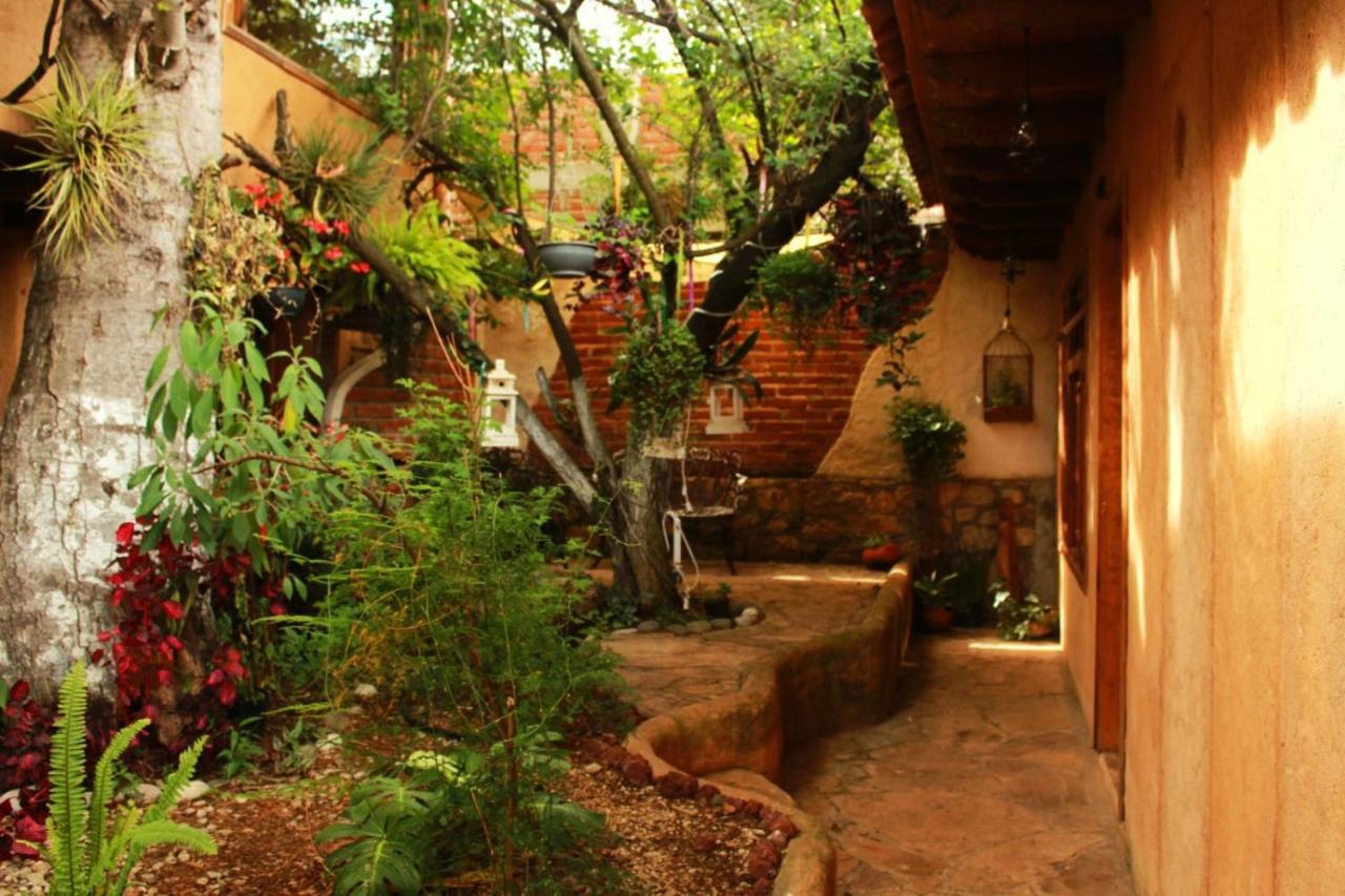Hospedaje Boutique Paz Creativa San Cristóbal de Las Casas Exteriér fotografie