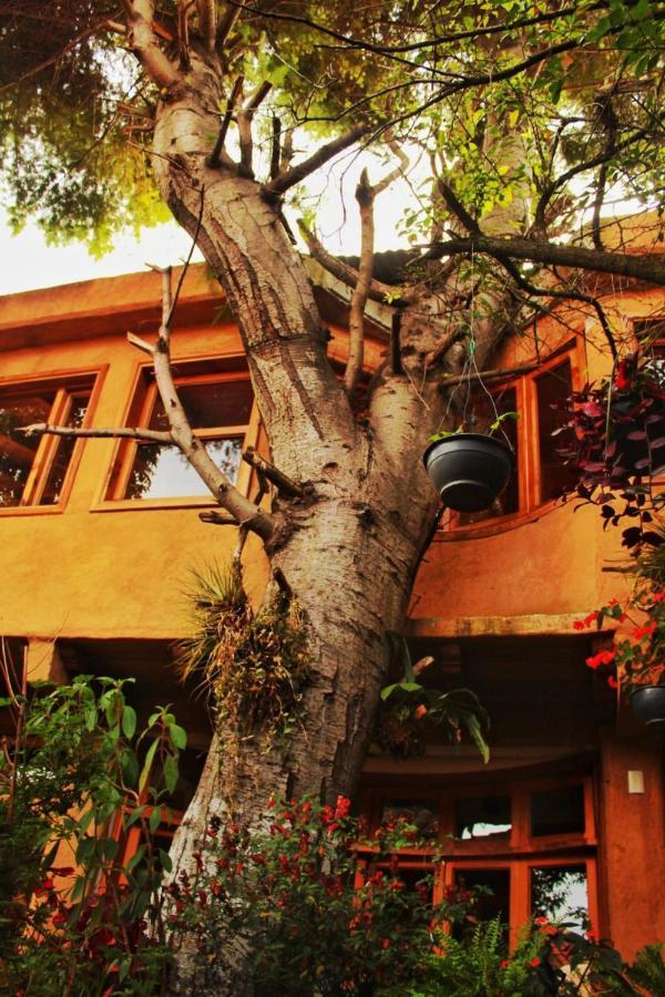 Hospedaje Boutique Paz Creativa San Cristóbal de Las Casas Exteriér fotografie